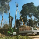 20210309_111911_681A71B3-698C-4F6C-A1E7-1C50B05093E4