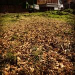 20210309_115001_50C21353-3166-4A3B-B478-05C7F3992F09