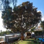 20230103_134504jpg20230103_134504