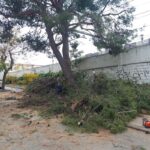 20230421_114001jpg20230421_114001