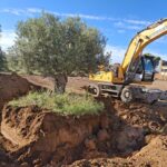 20241010_100855jpg20241010_100855