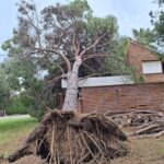 20241121_113145jpg20241121_113145