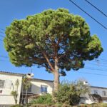 20241129_152629jpg20241129_152629