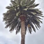 20241209_134654jpg20241209_134654