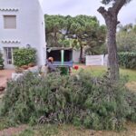 20250212_103857 - copia