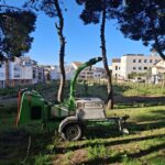 20250331_092420jpg20250331_092420