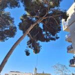 20250331_092727 - copia