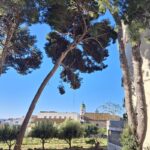 20250331_092741jpg20250331_092741