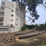 20250403_122002 - copia