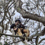 20250423_121103 - copia