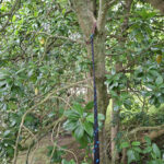 20250424_114114 - copia