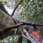 20250424_114121 - copia