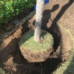 IMG-20250609-WA0049jpgIMG-20250609-WA0049