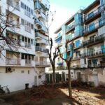 desmochado seguridad