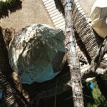 evitando nidos palomas