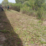 foto principal de momento