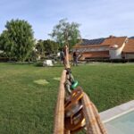 recuperacion arbol caído (2)